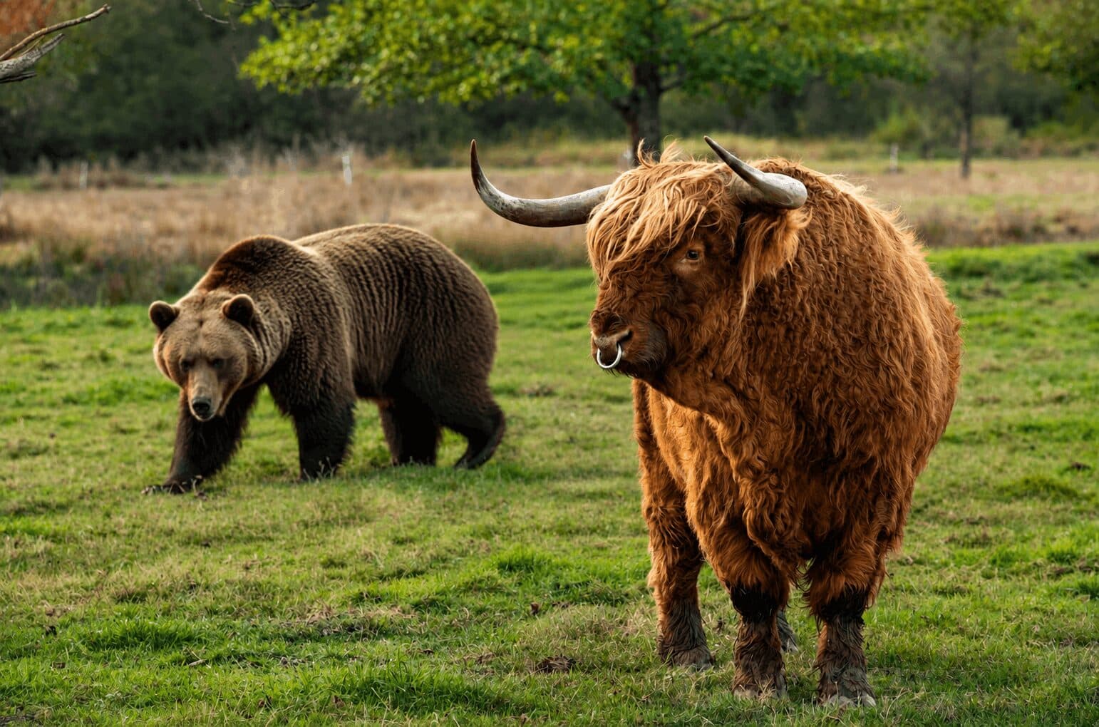 Daily Market Update Sep 29: ZEC Leads Crypto Losses as Bitcoin Holds Near $83,000